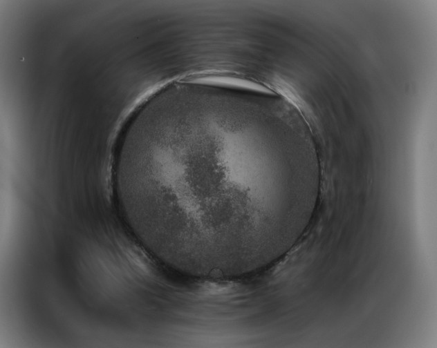 X0000087330346200704201132