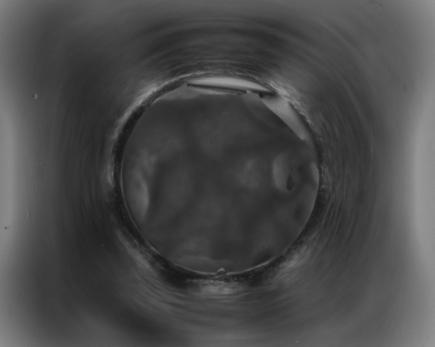 X0000087330347200704201132