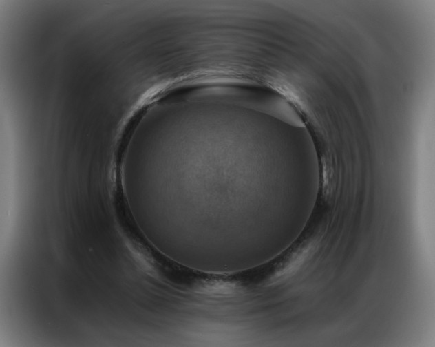 X0000087330348200704201132