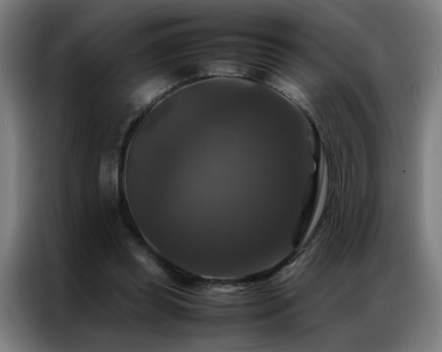 X0000087330349200704201132
