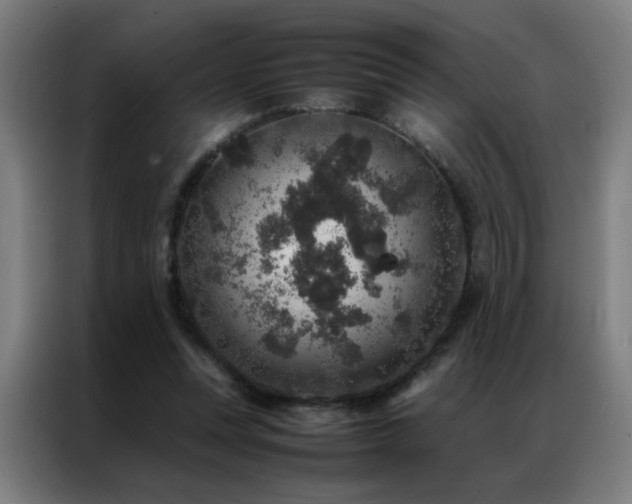 X0000087330351200704201132