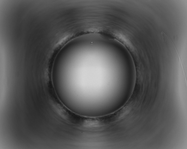 X0000087330354200704201132