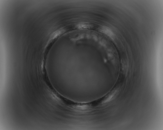 X0000087330357200704201132
