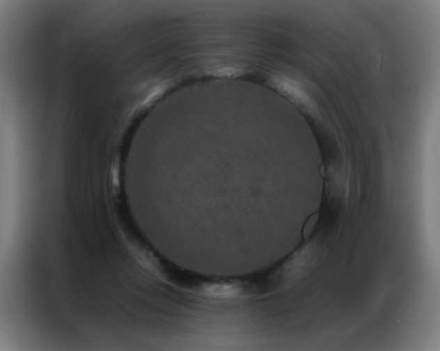 X0000087330358200704201132