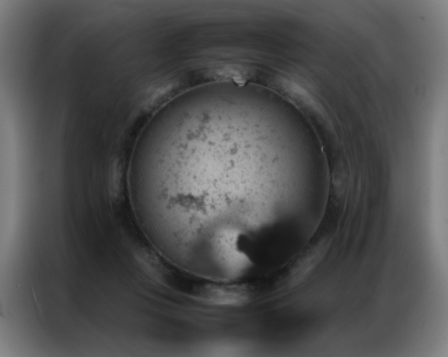 X0000087330359200704201132