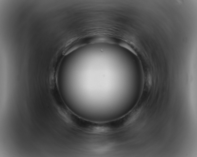 X0000087330360200704201132