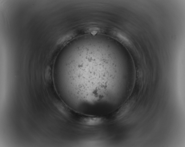 X0000087330361200704201132