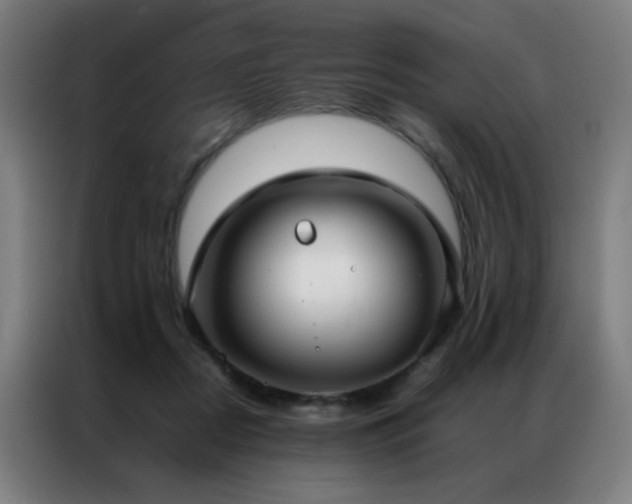 X0000087330362200704201132
