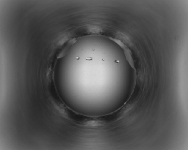X0000087330364200704201132