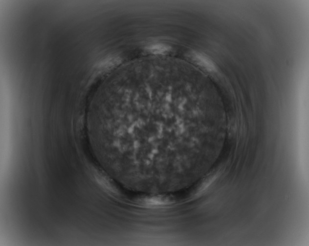 X0000087330365200704201132