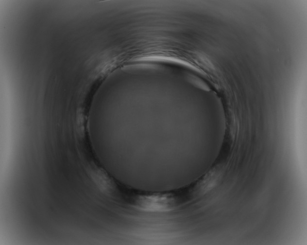 X0000087330366200704201132
