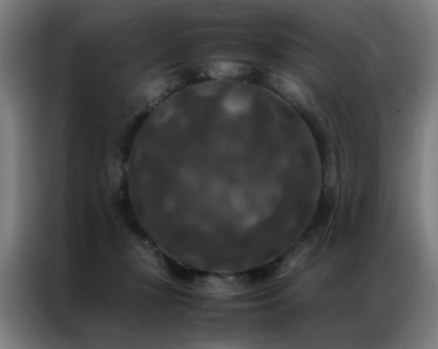 X0000087330367200704201132