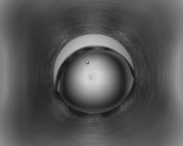 X0000087330368200704201132