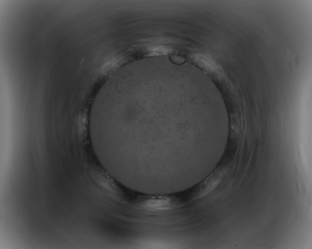 X0000087330369200704201132
