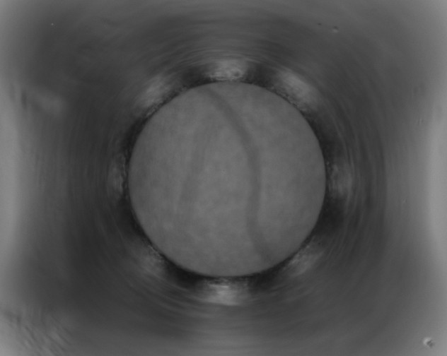 X0000087330370200704201132