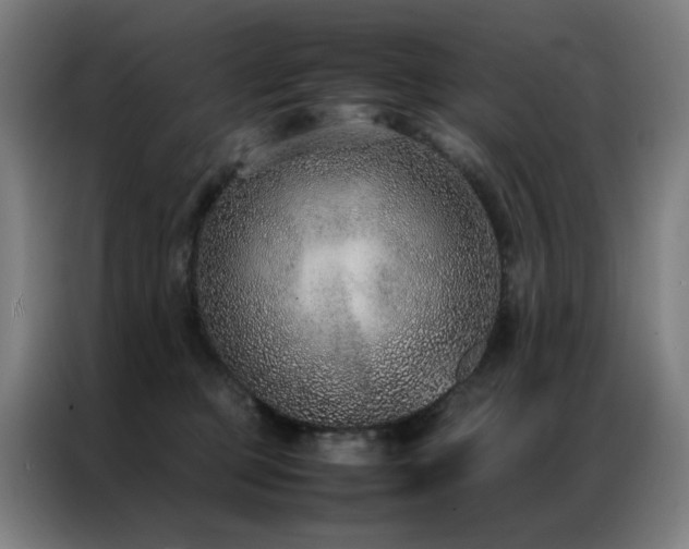 X0000087330373200704201132