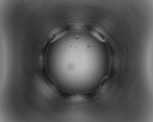 X0000087330378200704201132