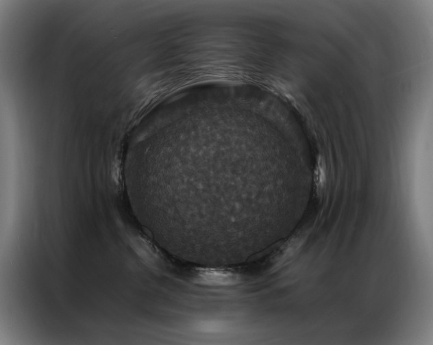 X0000087330380200704201132