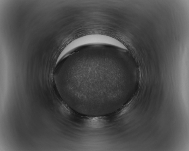 X0000087330382200704201132