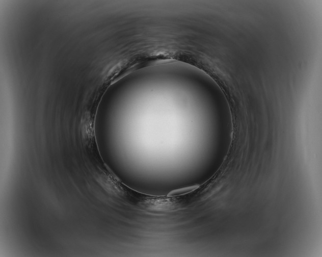X0000087330384200704201132