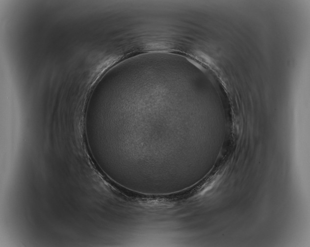 X0000087330385200704201132