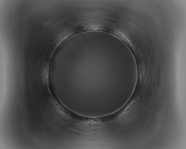 X0000087330386200704201131