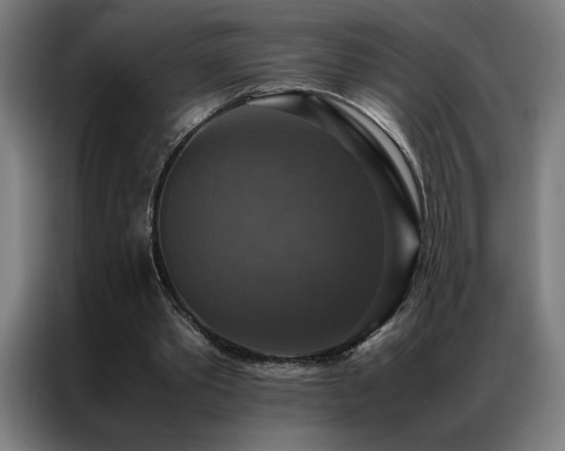 X0000087330389200704201131