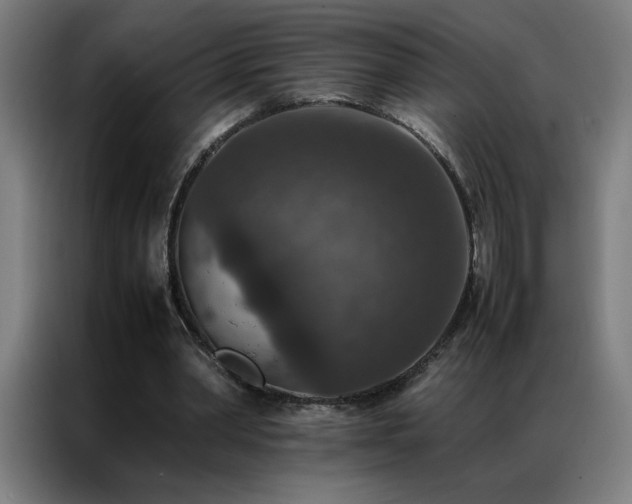 X0000087330390200704201131