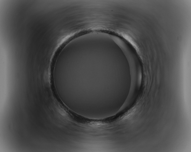 X0000087330391200704201131