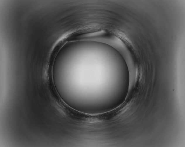 X0000087330392200704201131