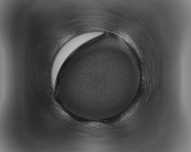 X0000087330393200704201131