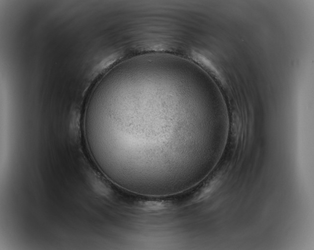 X0000087330394200704201131