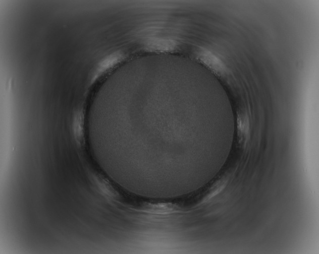 X0000087330396200704201131