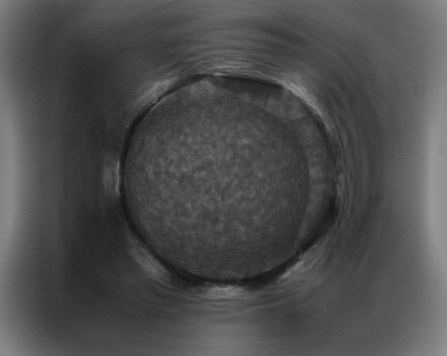 X0000087330397200704201131