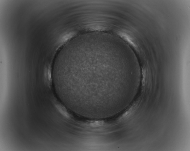 X0000087330398200704201131