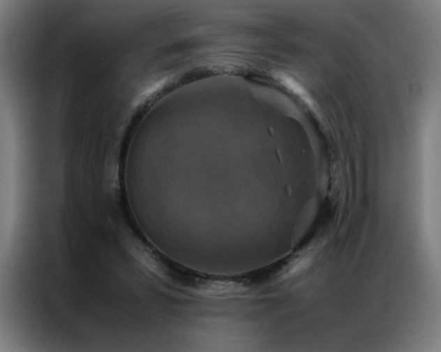 X0000087330399200704201131