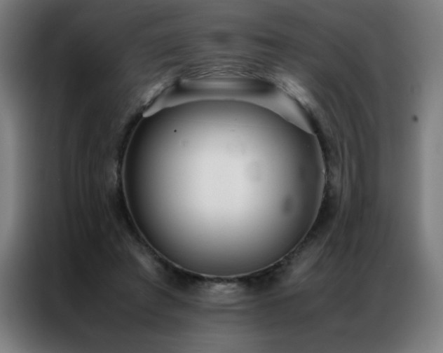 X0000087330401200704201131
