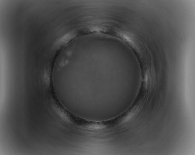 X0000087330402200704201131