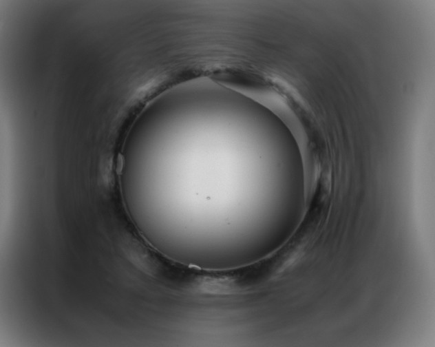 X0000087330403200704201131