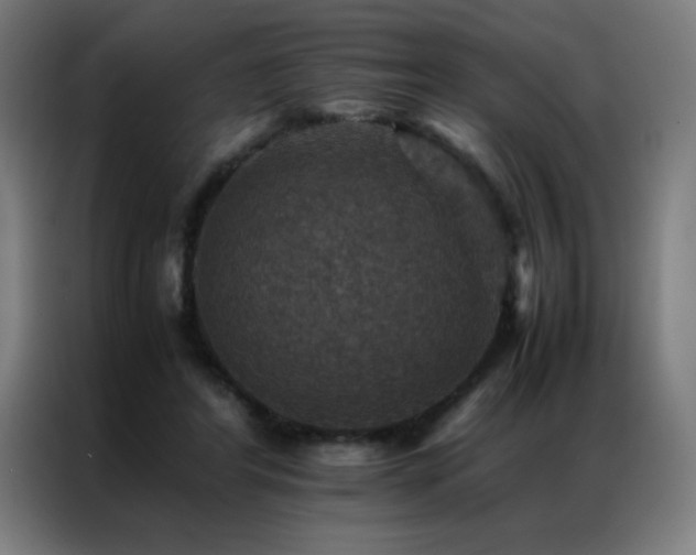 X0000087330404200704201131