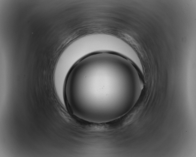 X0000087330405200704201131