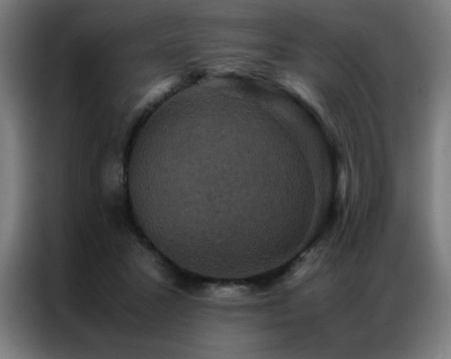 X0000087330407200704201131