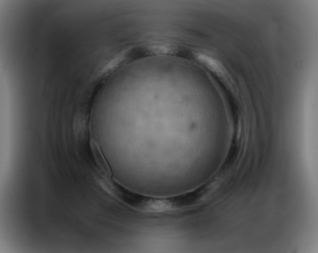 X0000087330409200704201131