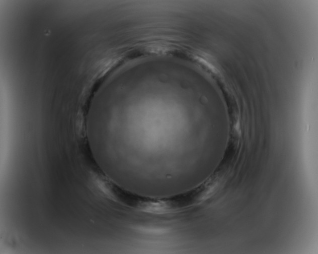 X0000087330411200704201131
