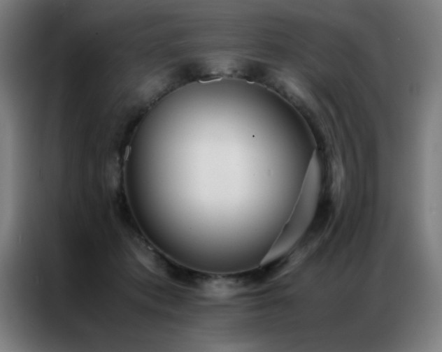 X0000087330413200704201131