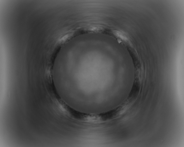 X0000087330415200704201131