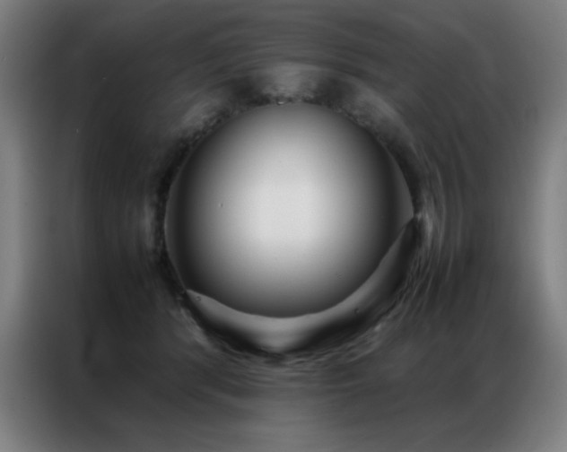 X0000087330416200704201131