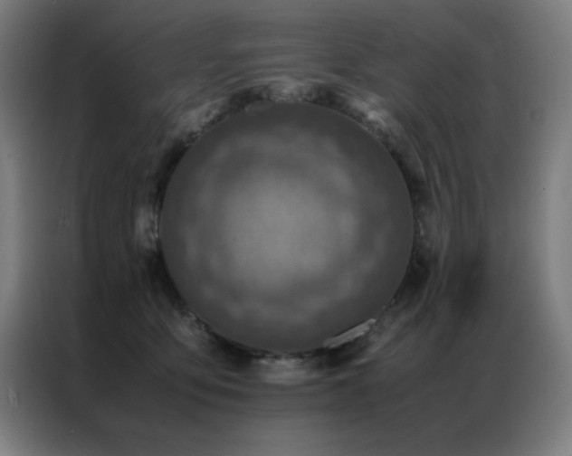 X0000087330419200704201131