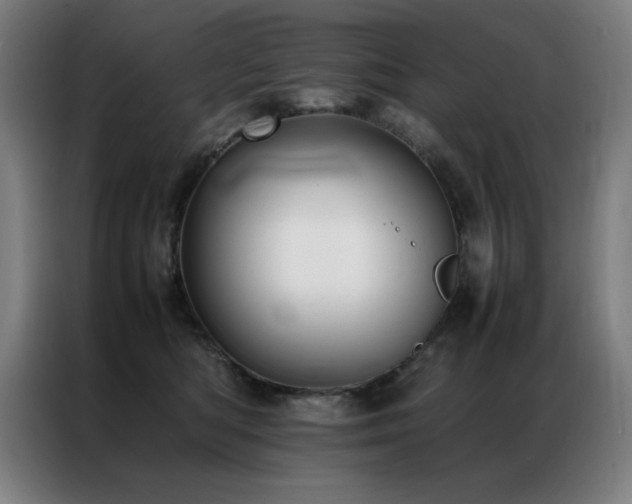 X0000087330422200704201131