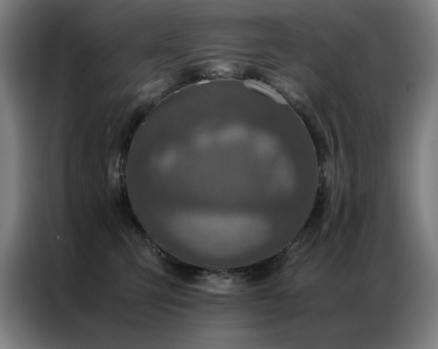 X0000087330423200704201131